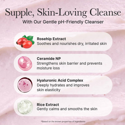 Arencia Rosehip Mild pH Balancing Rice Cake Cleanser 150g