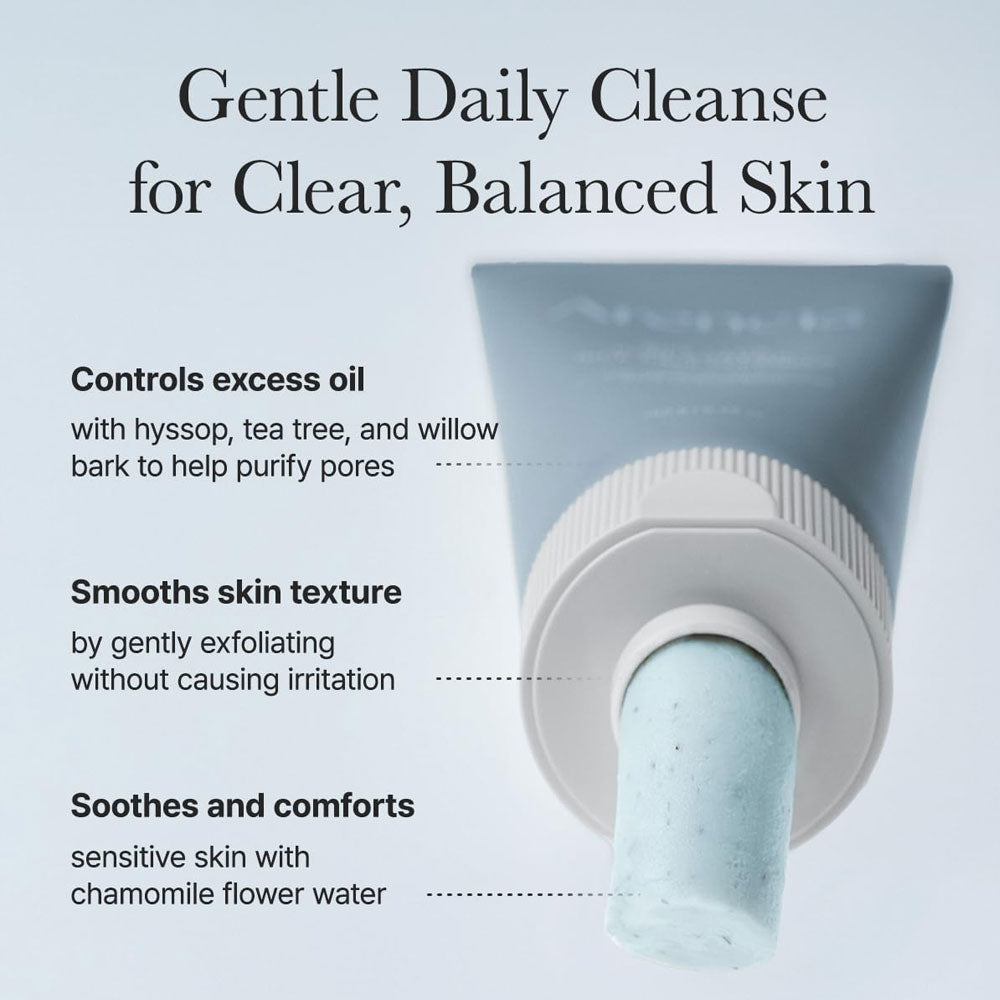 Arencia Hyssop Sebum Control Rice Cake Cleanser 150g
