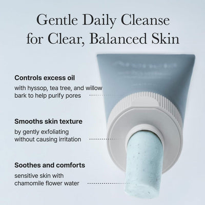 Arencia Hyssop Sebum Control Rice Cake Cleanser 150g