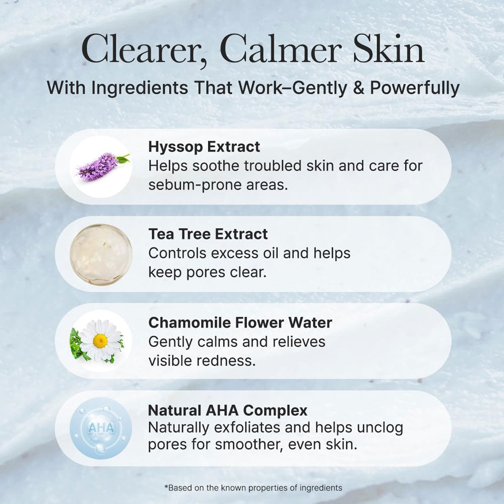 Arencia Hyssop Sebum Control Rice Cake Cleanser 150g