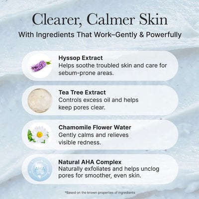 Arencia Hyssop Sebum Control Rice Cake Cleanser 150g