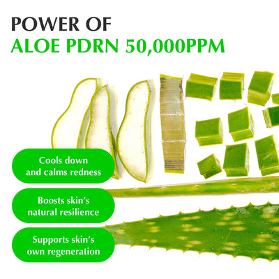 EQQUALBERRY Aloe PDRN Calming Serum 30ml